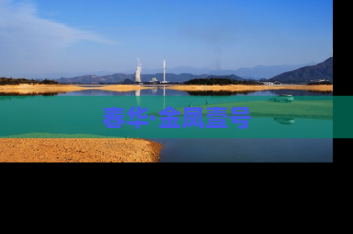 春华·金凤壹号