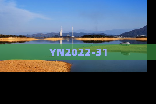 YN2022-31