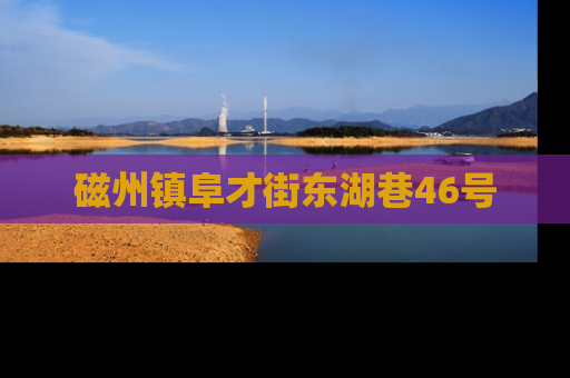 磁州镇阜才街东湖巷46号