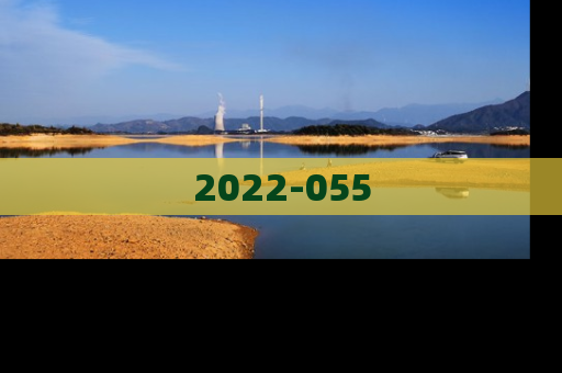 2022-055