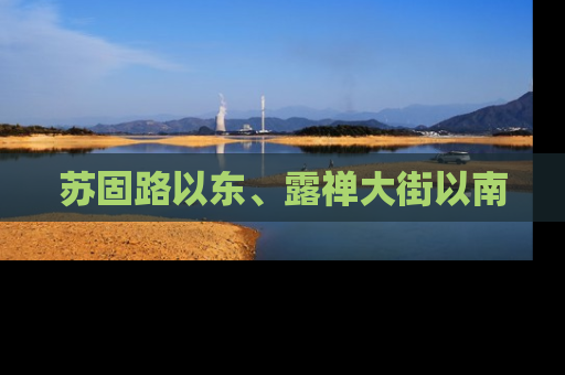 苏固路以东、露禅大街以南