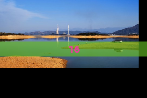16