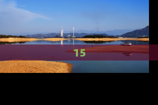 15