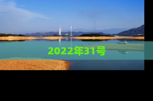 2022年31号