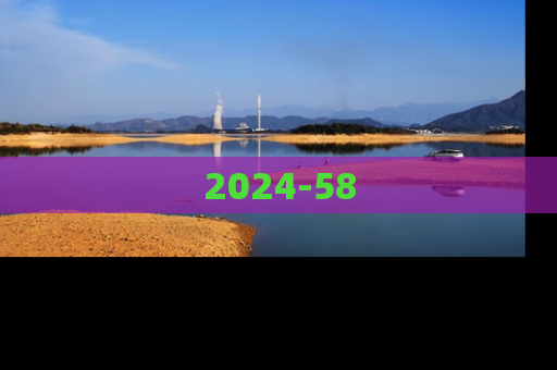 2024-58