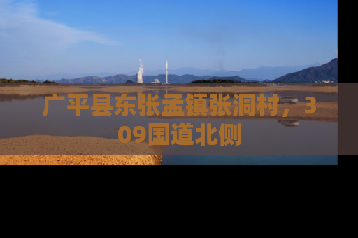 广平县东张孟镇张洞村，309国道北侧