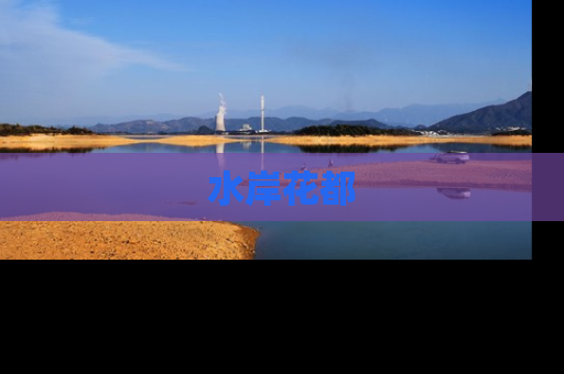 水岸花都
