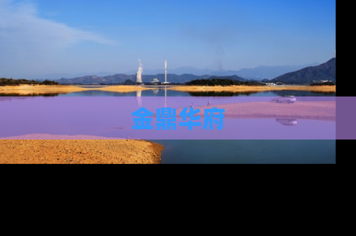 金鼎华府