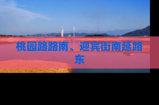 桃园路路南、迎宾街南延路东