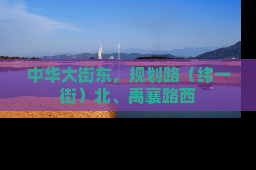 中华大街东，规划路（纬一街）北、禹襄路西