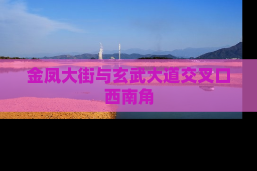 金凤大街与玄武大道交叉口西南角