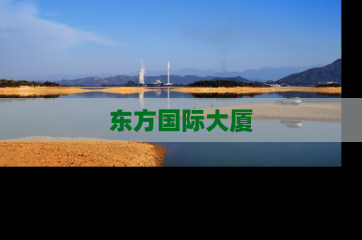 东方国际大厦