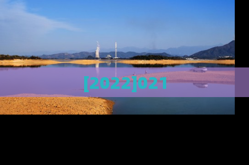 [2022]021