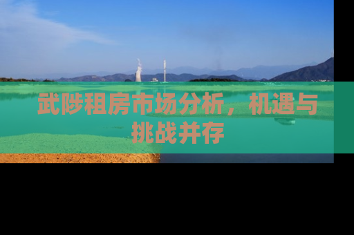 武陟租房市场分析，机遇与挑战并存
