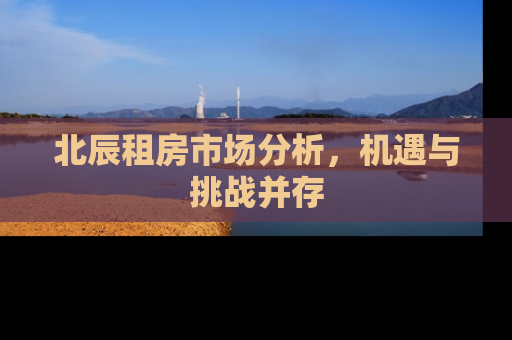 北辰租房市场分析，机遇与挑战并存