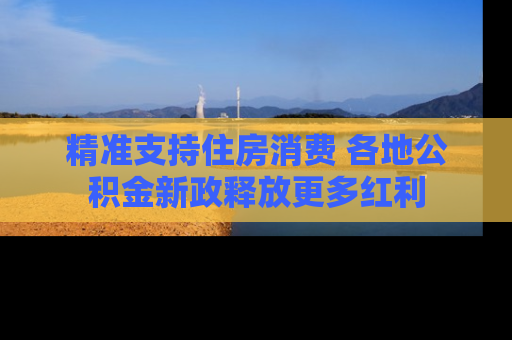 精准支持住房消费 各地公积金新政释放更多红利