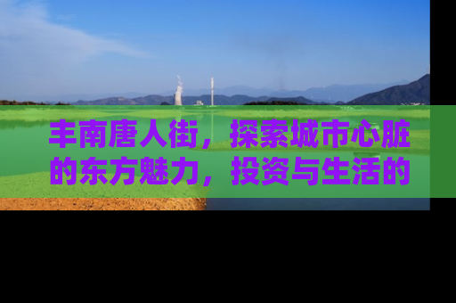 丰南唐人街，探索城市心脏的东方魅力，投资与生活的完美融合