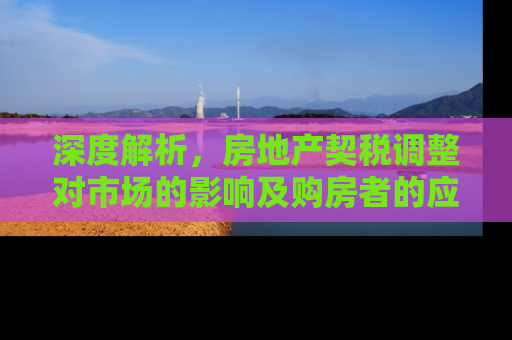 深度解析，房地产契税调整对市场的影响及购房者的应对策略