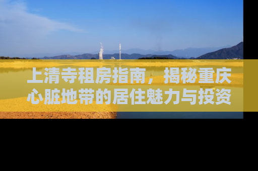 上清寺租房指南，揭秘重庆心脏地带的居住魅力与投资价值