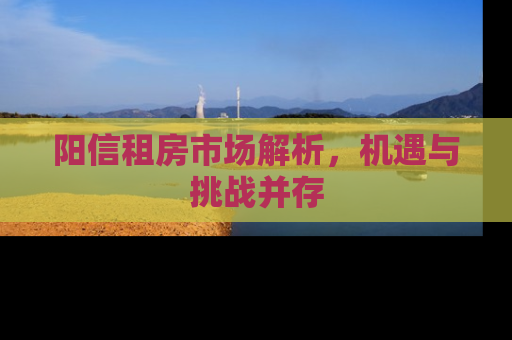 阳信租房市场解析，机遇与挑战并存