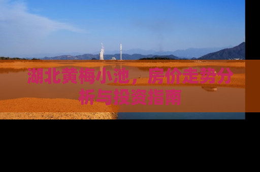 湖北黄梅小池，房价走势分析与投资指南