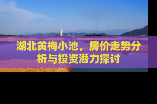 湖北黄梅小池，房价走势分析与投资潜力探讨