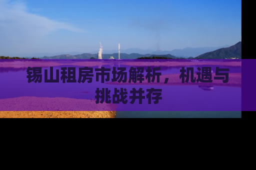 锡山租房市场解析，机遇与挑战并存