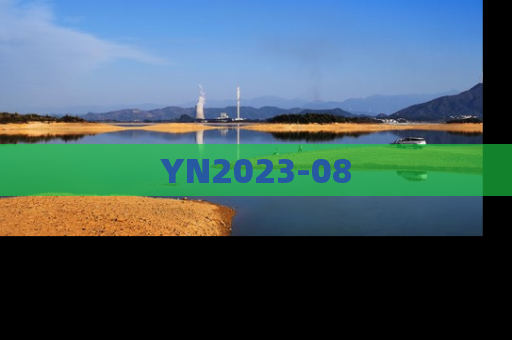 YN2023-08