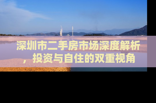深圳市二手房市场深度解析，投资与自住的双重视角