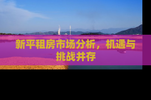 新平租房市场分析，机遇与挑战并存