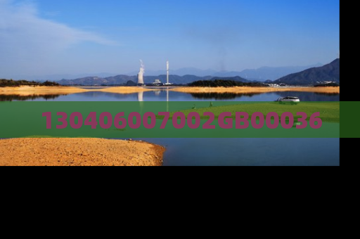 130406007002GB00036