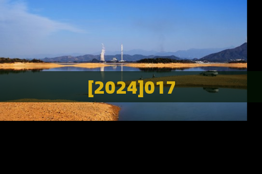 [2024]017