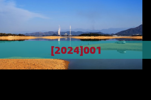 [2024]001