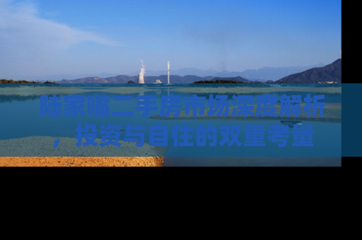 陆家嘴二手房市场深度解析，投资与自住的双重考量