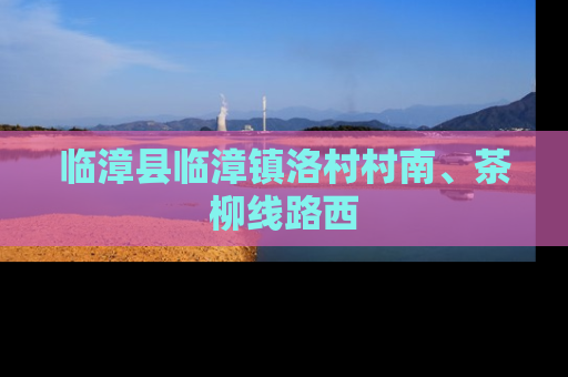 临漳县临漳镇洛村村南、茶柳线路西