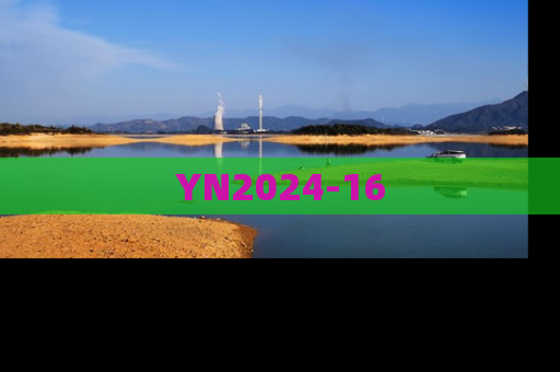 YN2024-16