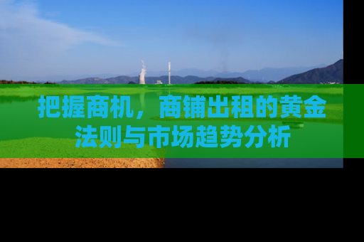 把握商机，商铺出租的黄金法则与市场趋势分析