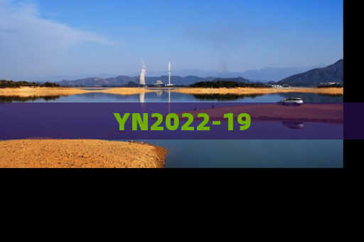 YN2022-19