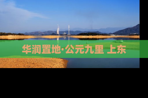 华润置地·公元九里 上东
