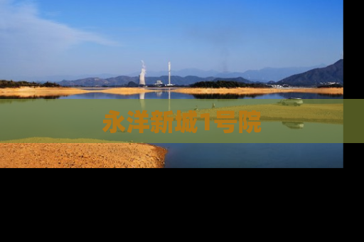 永洋新城1号院