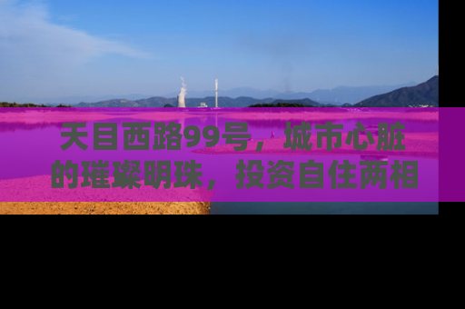 天目西路99号，城市心脏的璀璨明珠，投资自住两相宜的房产新选择