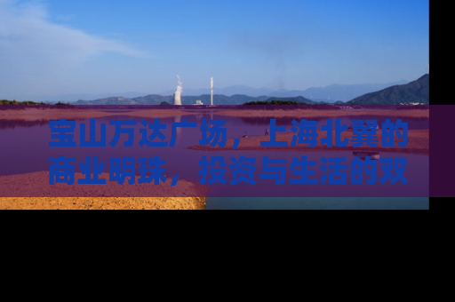 宝山万达广场，上海北翼的商业明珠，投资与生活的双重价值解析