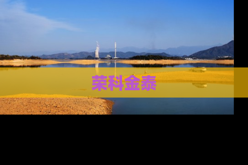 荣科金泰