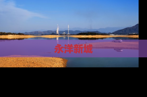 永洋新城