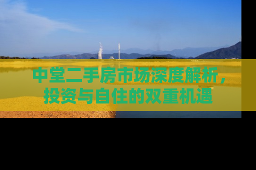 中堂二手房市场深度解析，投资与自住的双重机遇