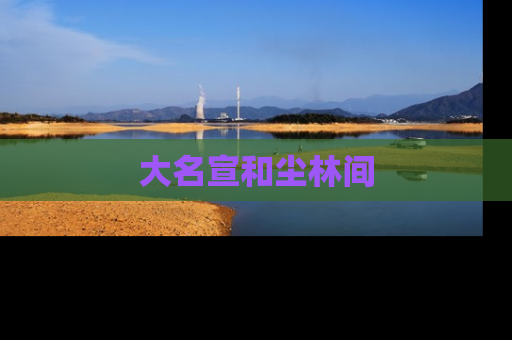 大名宣和尘林间