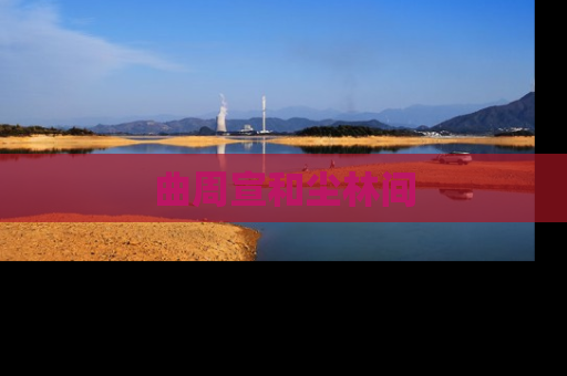 曲周宣和尘林间