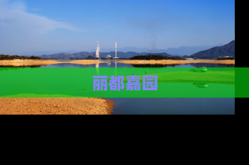 丽都嘉园