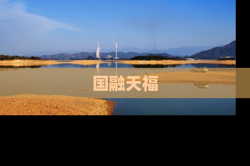 国融天福