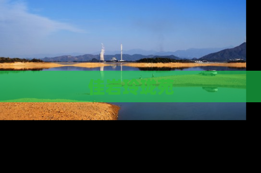 佳岩玲珑苑